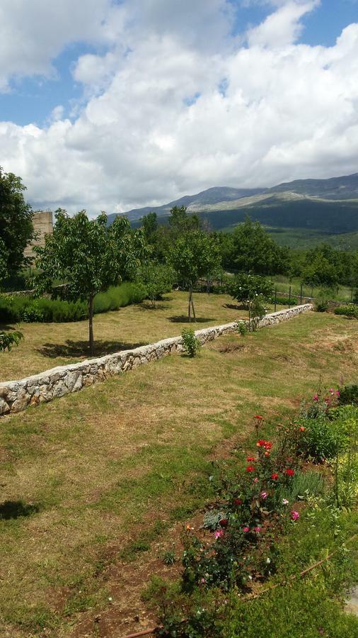 Villa Cetina Milasi Exterior photo