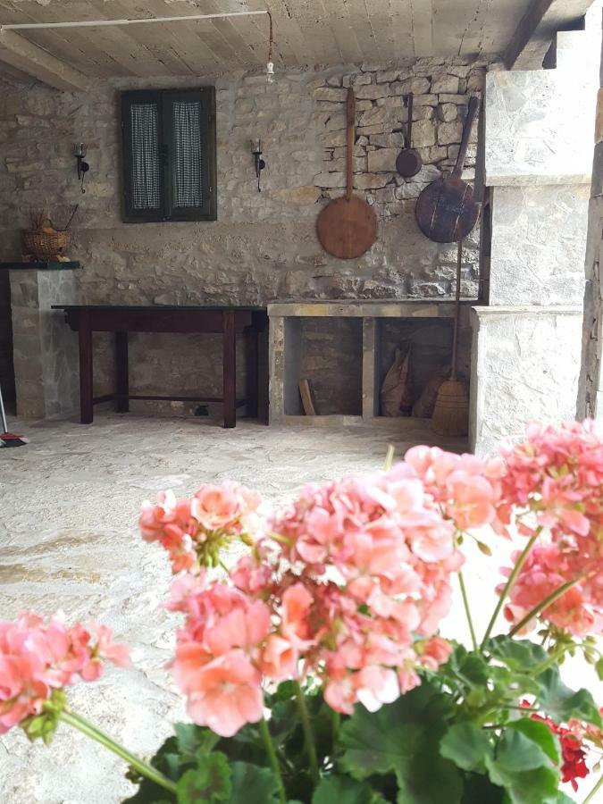 Villa Cetina Milasi Exterior photo